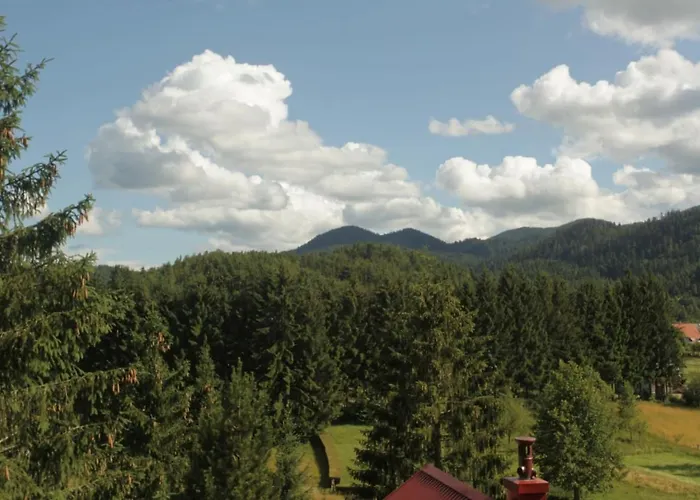 Srna - Gorski Kotar Apartmán *