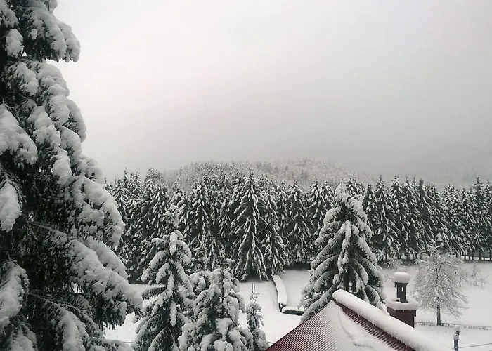 Apartmán Srna - Gorski Kotar *