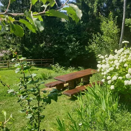 Srna - Gorski Kotar Sunger