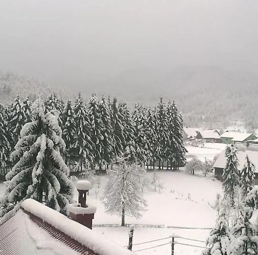 Srna - Gorski Kotar *