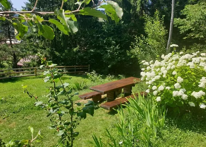 Srna - Gorski Kotar Sunger